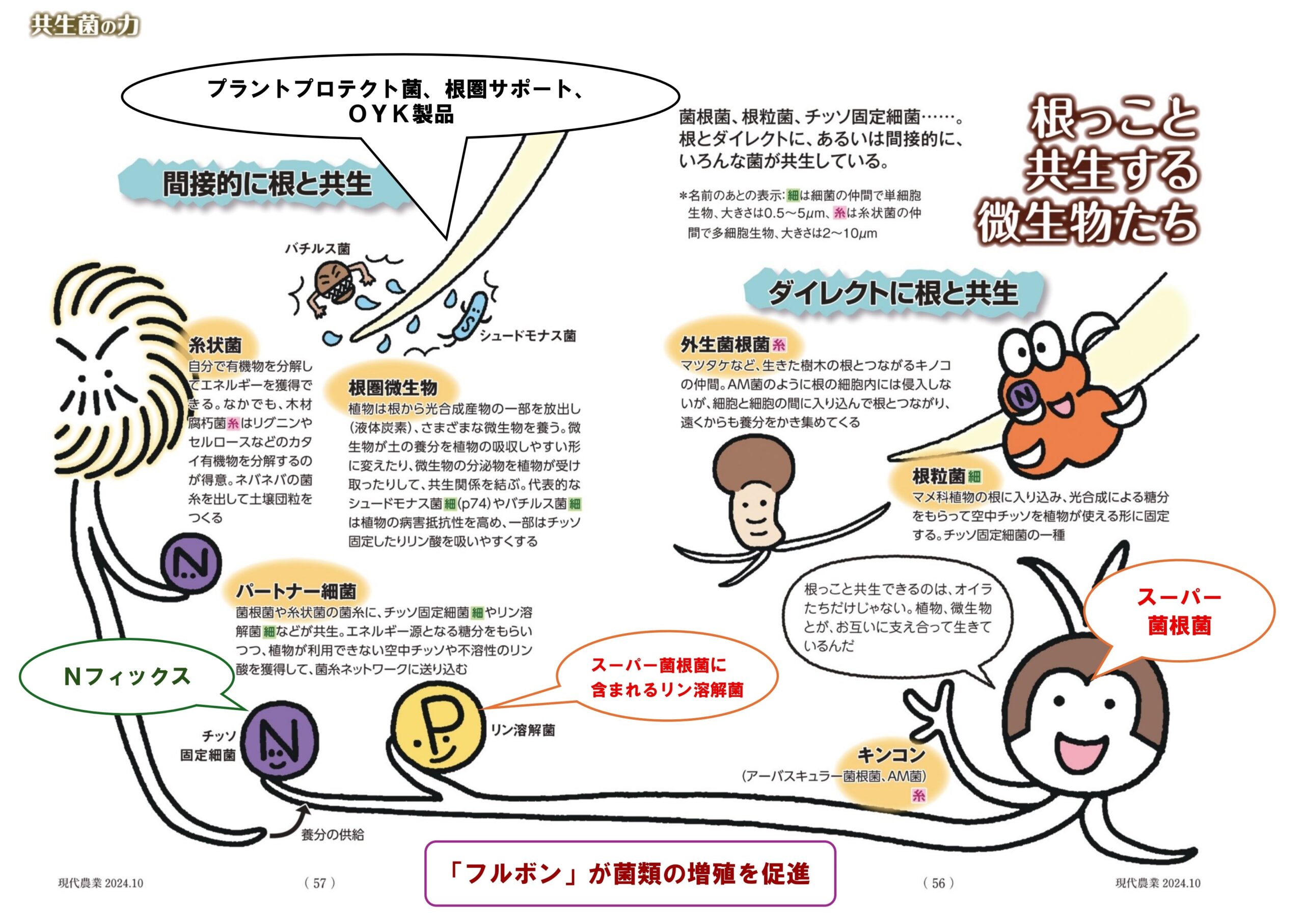 微生物資材の解説図(Nフィックス/スーパー菌根菌/プラントプロテクト菌/根圏サポート/フルボン ほか)